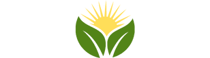 Cuban Cigars For Sale