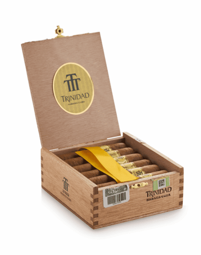 Trinidad Vigia