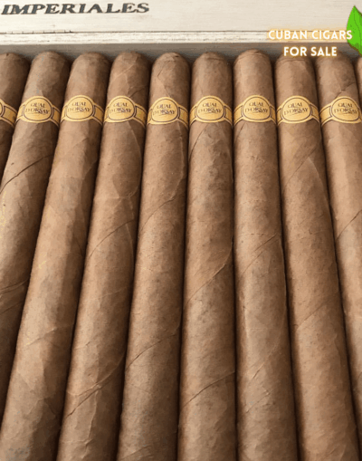 Quai D'orsay Imperiales - High Resolution