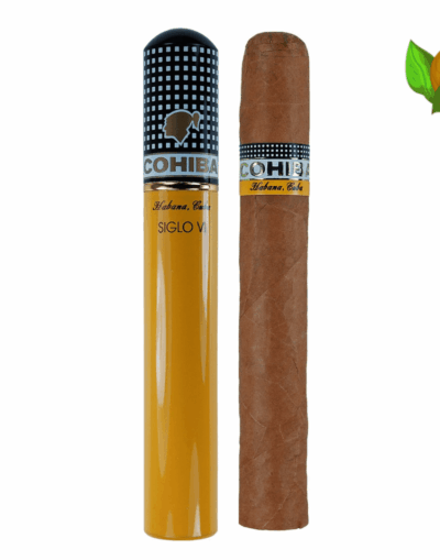 Cohiba Siglo VI Tubos (15 en Petacas) Cuban Cigar - Image 1