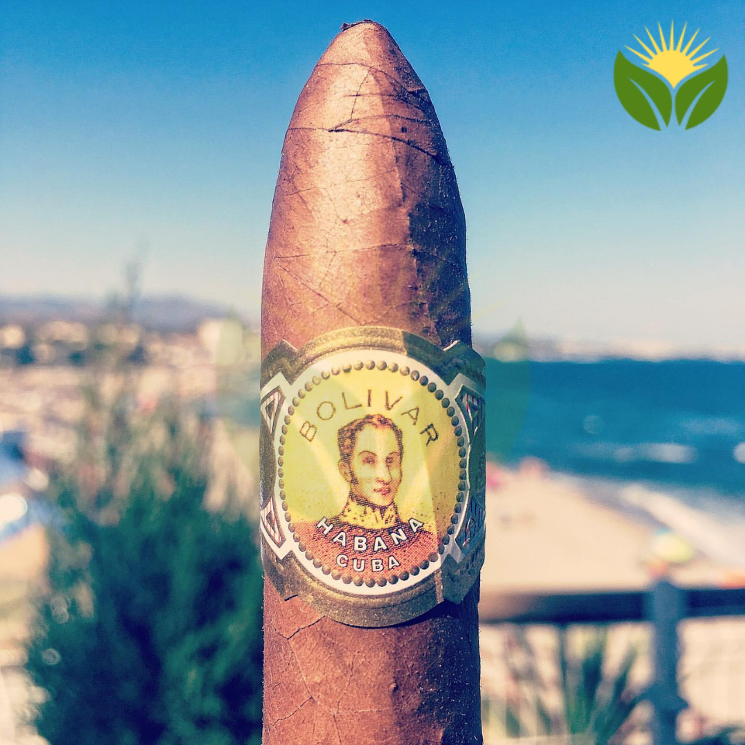 Bolivar Belicosos 3 Bolivar Belicosos Box View - Authentic Habanos