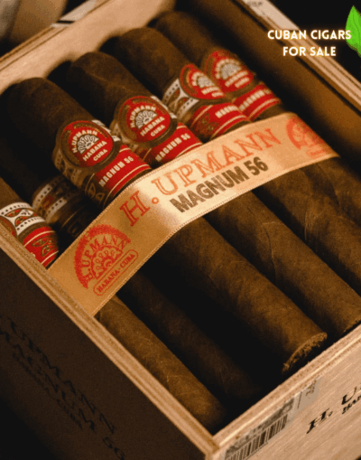 H Upmann Magnum 56 Cuban Cigar - Image 1