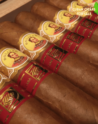 Bolivar Libertador LCDH - High Resolution