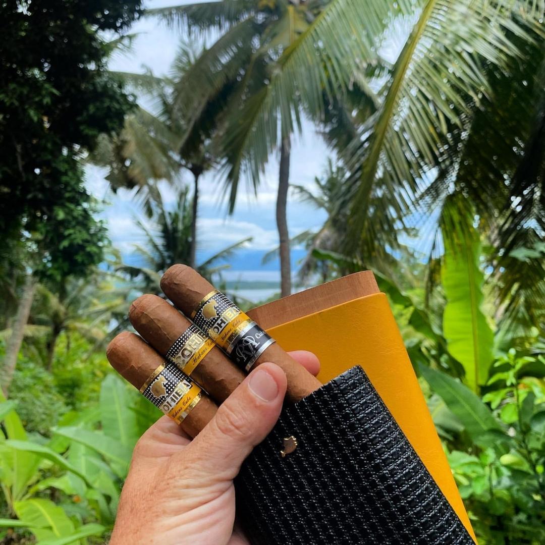 Cohiba Robusto Reserva Cosecha 2014 2 Cohiba Robusto Reserva Cosecha 2014 Cuban Cigar - Image 1