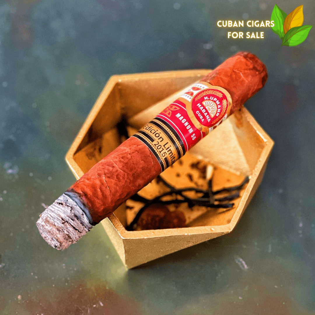H Upmann Magnum 56 4 H Upmann Magnum 56 Cigar Close-up - Premium Quality