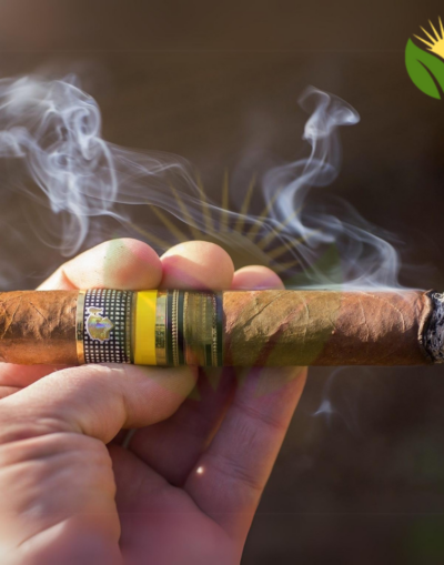 Cohiba Talisman Cuban Cigar - Image 1