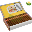 Partagas Shorts - High Resolution