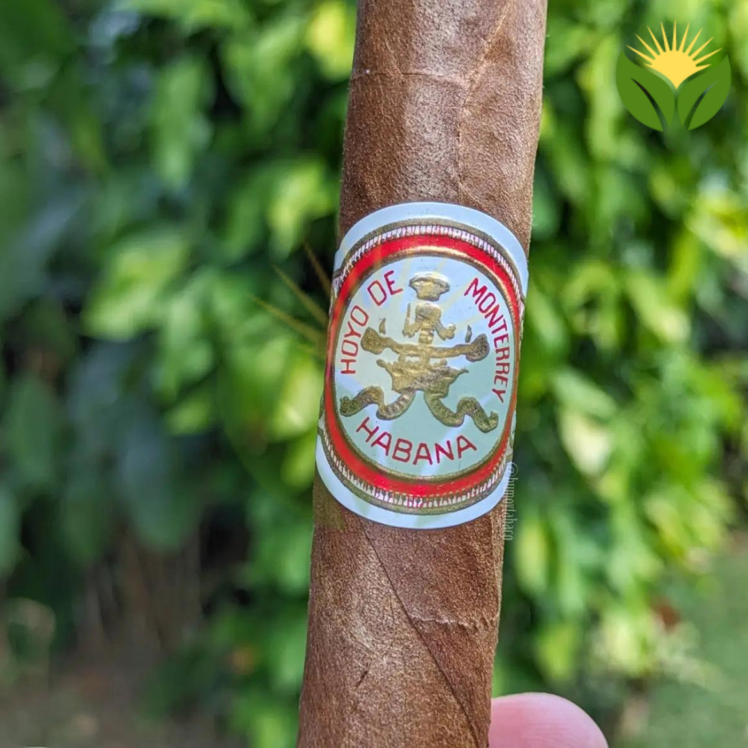 Hoyo de Monterrey Double Corona 2 Hoyo de Monterrey Double Corona Cuban Cigar - Image 1