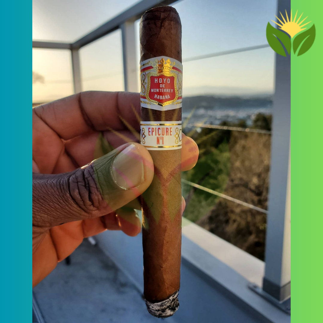 Hoyo de Monterrey Epicure No. 1 3 Hoyo de Monterrey Epicure No. 1 Box View - Authentic Habanos