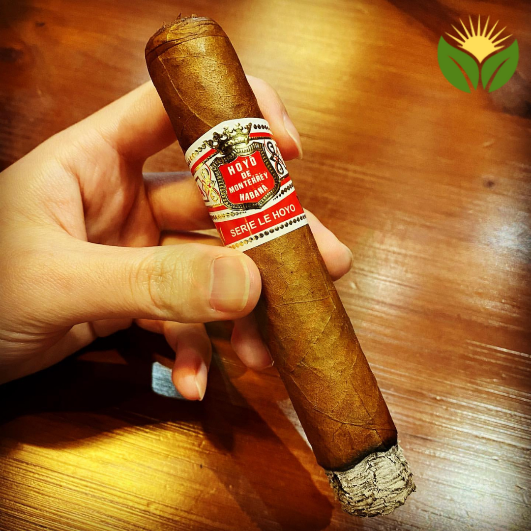 Hoyo de Monterrey Serie Le Hoyo 4 Hoyo de Monterrey Serie Le Hoyo Cigar Close-up - Premium Quality