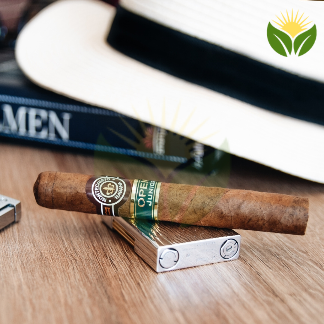 Montecristo Open Junior 3 Montecristo Open Junior Box View - Authentic Habanos