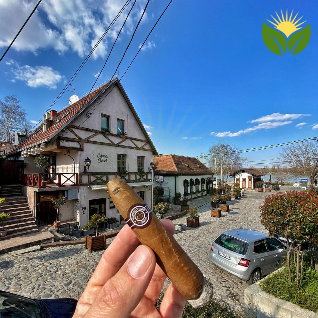 Montecristo Petit No 2 5 Montecristo Petit No 2 Cuban Cigars - Detail View