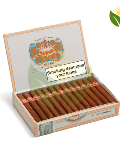 H Upmann Petit Corona - High Resolution