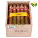 H Upmann Magnum 50 - High Resolution