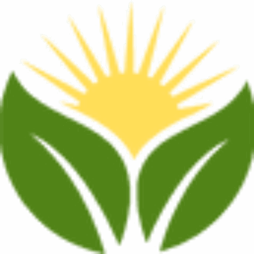 Cuban Cigars For Sale